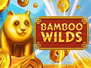 Betsolid Casino screenshot
